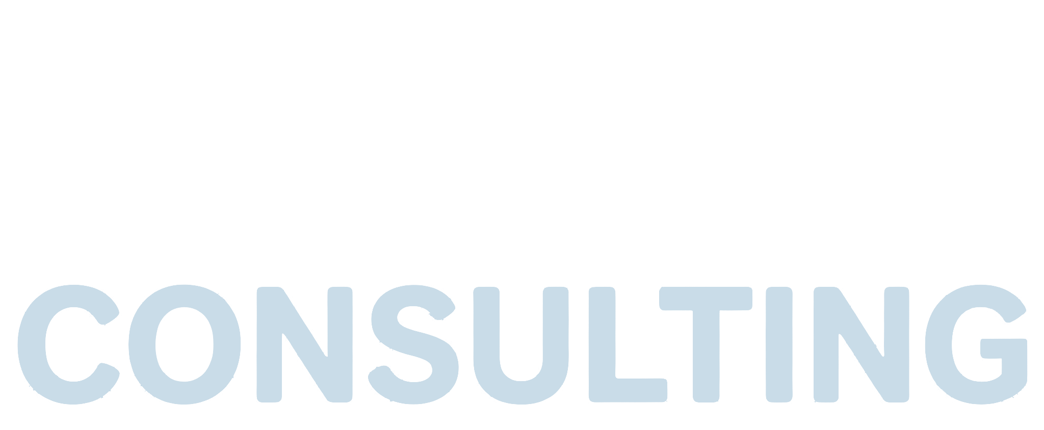 Snow Consulting